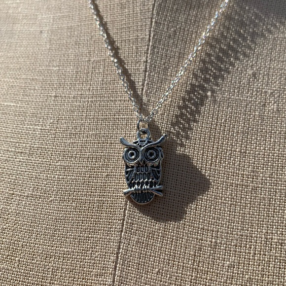 NWT Sterling Silver Plated Chain & Owl Alloy Metal Charm Necklace - Picture 2 of 9
